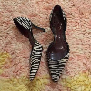 Zebra Print Ann Taylor Heels